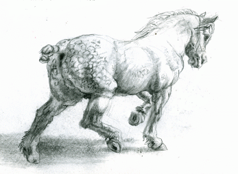 Featured image of post Got Horse Drawing Want to know how to draw a horse easily